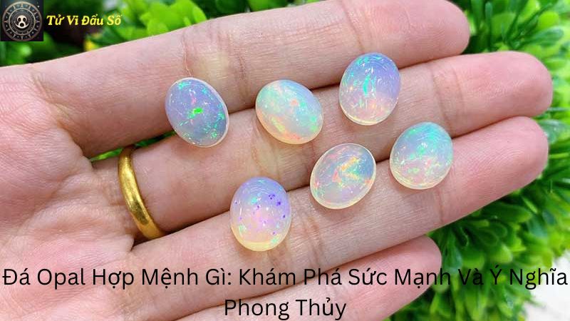 Đá Opal Hợp Mệnh Gì: Khám Phá Sức Mạnh Và Ý Nghĩa Phong Thủy