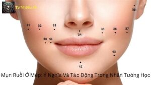 Mụn Ruồi Ở Mép: Ý Nghĩa Và Tác Động Trong Nhân Tướng Học