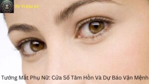 Tướng Mắt Phụ Nữ: Cửa Sổ Tâm Hồn Và Dự Báo Vận Mệnh