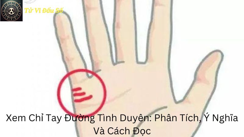 Xem Chỉ Tay Đường Tình Duyên: Phân Tích, Ý Nghĩa Và Cách Đọc