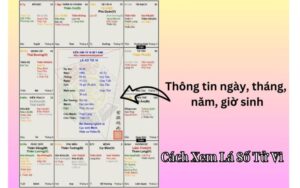 Hướng Dẫn Cách Xem Lá Số Tử Vi Chính Xác Và Đơn Giản Nhất